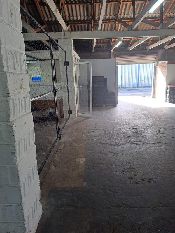 To Let commercial Property for Rent in Bodorp Western Cape